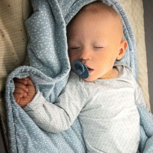 G254 WHITE CRIB TEDDY GREY