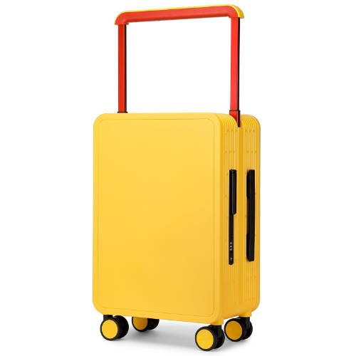 Papelan Hardside Luggage with Double Spinner Wheels, Carry-On 20-Inch, Quiet, TS