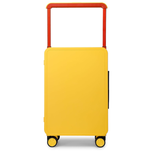 Papelan Hardside Luggage with Double Spinner Wheels, Carry-On 20-Inch, Quiet, TS