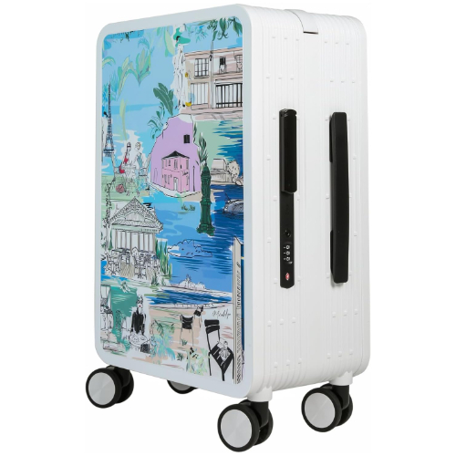 Papelan Hardside Luggage with Double Spinner Wheels, Carry-On 20-Inch, Quiet, TS