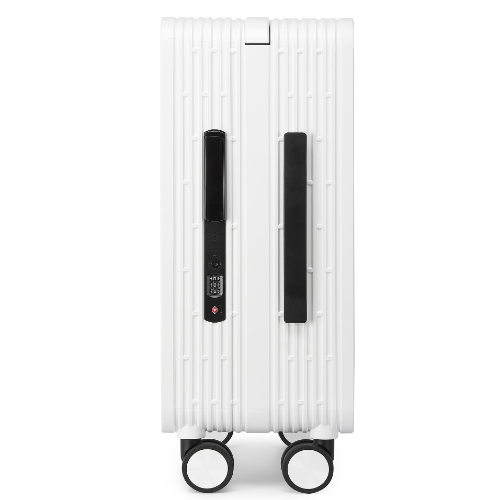 Papelan Hardside Luggage with Double Spinner Wheels, Carry-On 20-Inch, Quiet, TS