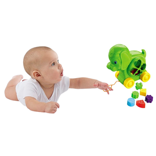 GREENPLAST Developing Toy- Shape Sorter Toy