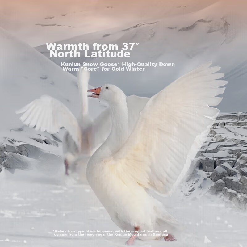 LOVO Luolai Shenghuo Class A 95% Kunlun White Goose down Duvet, Winter Comforter...