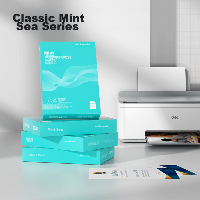 Deli Mint Sea A4 Printing Paper, 70g, 500 Sheets*8 Packs Per Box, Double-Sided C...