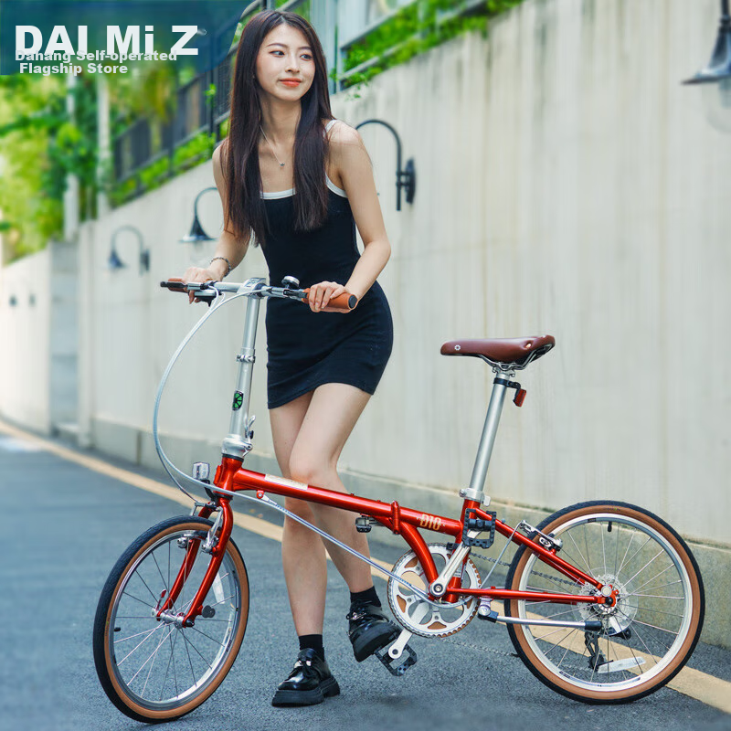 DAHON D10 Folding Bicycle, 20-Inch, 10-Speed, Adult Retro Bike, HAC003, Pomegran...