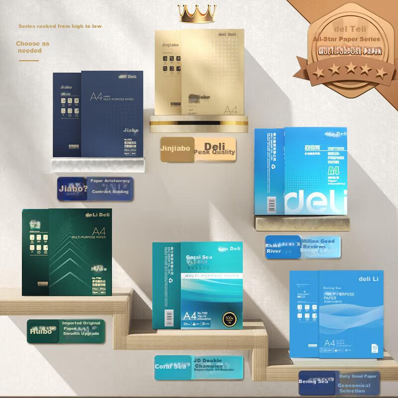 Deli Coral Sea A4 Printing Paper, 80g 500 Sheets*8 Packs Per Box, Double-Sided U...