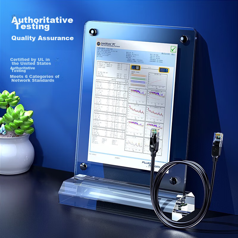 Biaze CAT6 Ethernet Cable, 9 Meters, Gigabit Network Connection Cable, Unshielde...