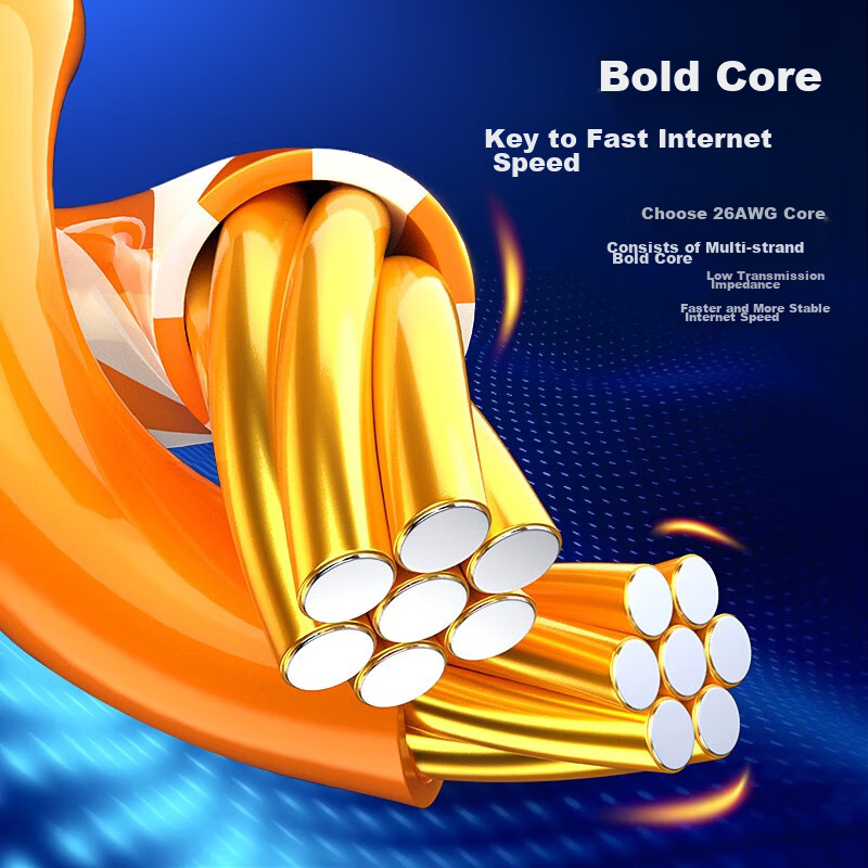 Biaze CAT6 Ethernet Cable, 9 Meters, Gigabit Network Connection Cable, Unshielde...