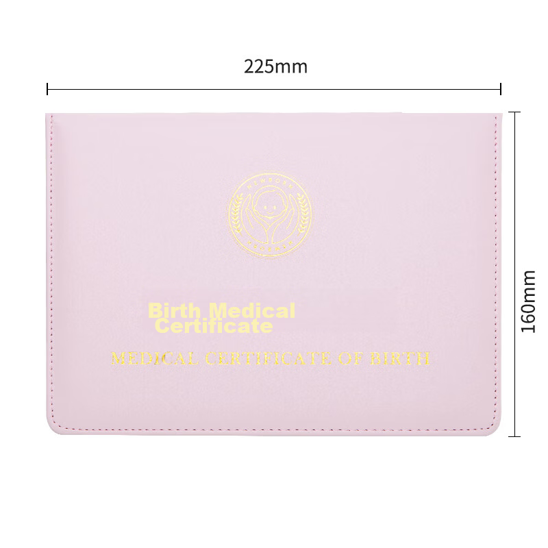 Deli Medical Birth Certificate Protective Cover, Document Leather Storage Pouch,...