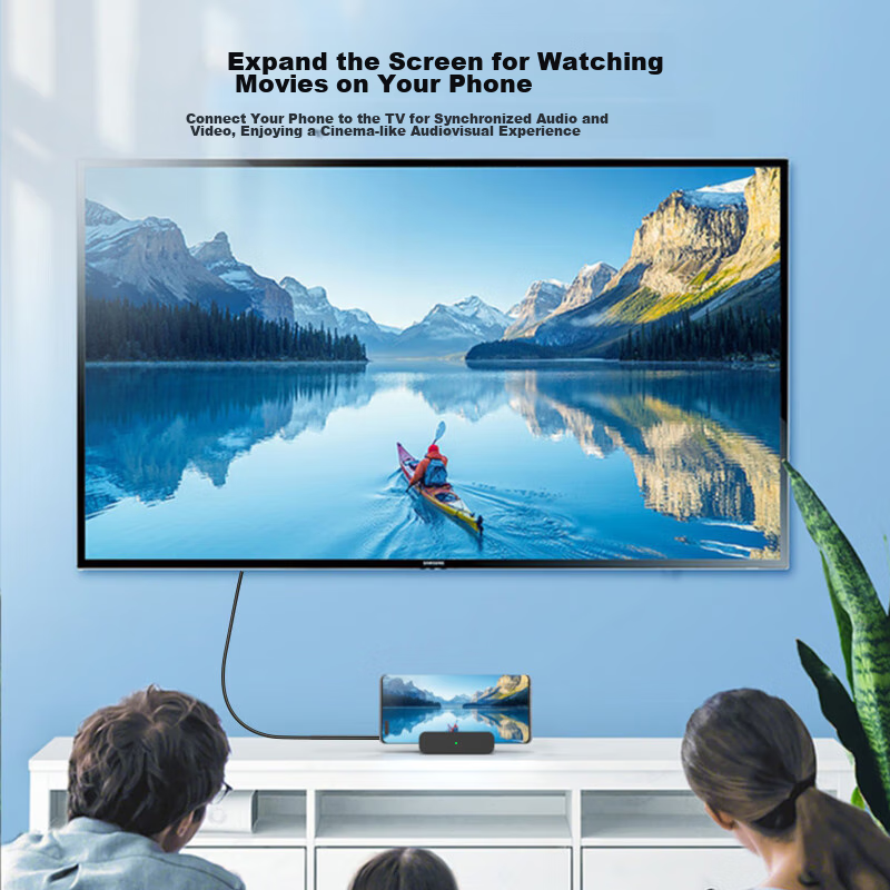 NEWDERY Switch Portable Dock, NS Charger, OLED Screen Mirroring Cable, Console C...