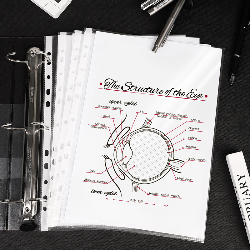 Deli 100 Pieces 11-Hole Document Sleeves, File Refill Pouches, Document Protecti...