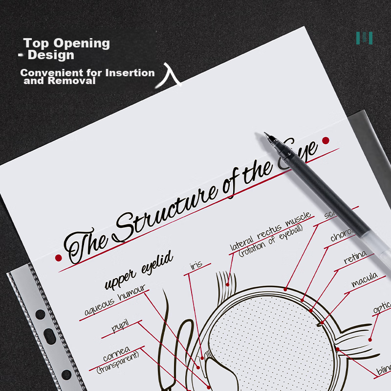 Deli 100 Pieces 11-Hole Document Sleeves, File Refill Pouches, Document Protecti...