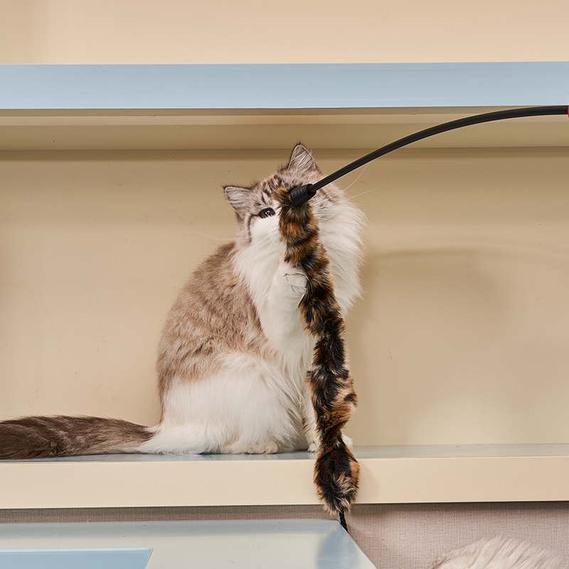 GiGwi Cat Teaser Toy for Kittens And Puppies, Durable Chew Toy with Natural Feat...