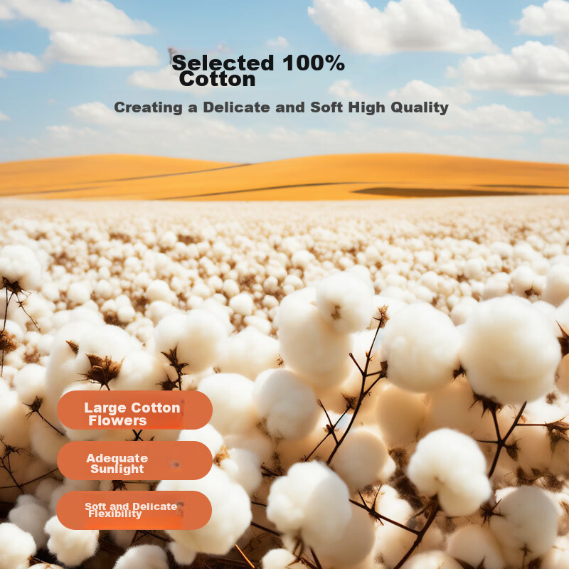 Boyang Home Textiles Wedding Four-Piece Set, Pure Cotton, Red, Traditional Embro...