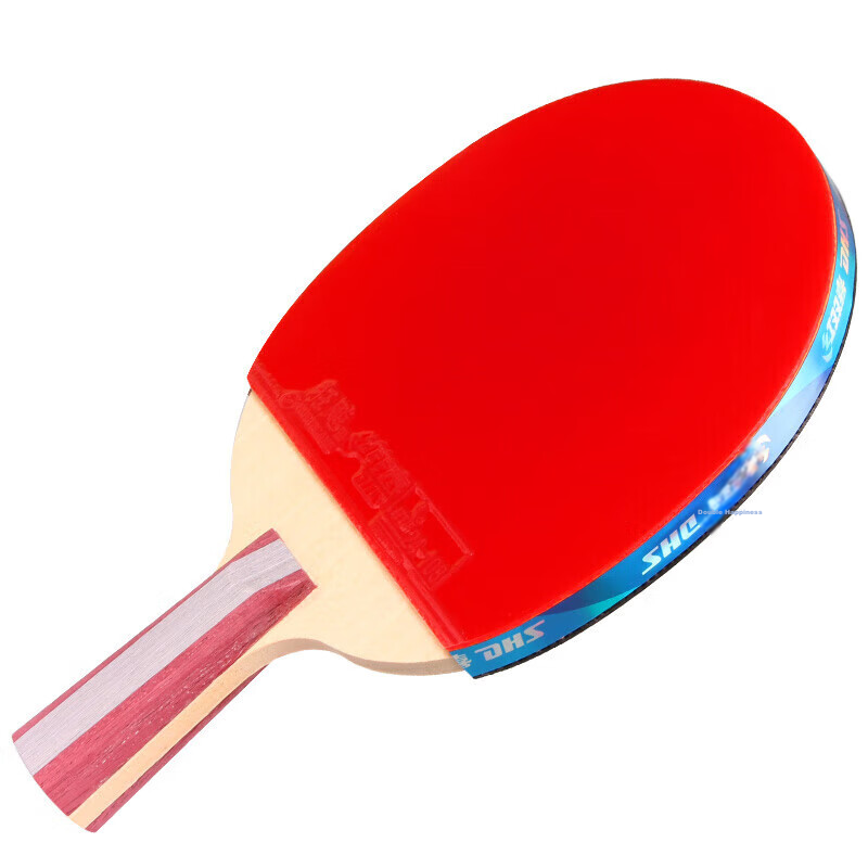 DHS Kuangbiao 5-Star Straight Handle Double-Sided Reverse Rubber Table Tennis Ra...