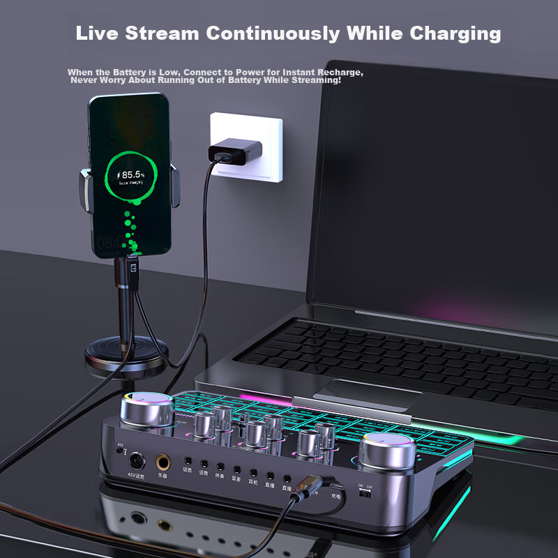 Good Shepherd Sound Card Live Streaming Equipment Set 2024 New Model for Compute...