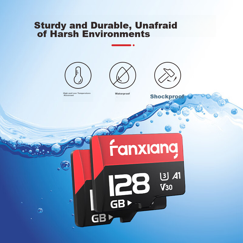 FANXIANG 64GB TF (MicroSD) Memory Card V30 for Dash Cam & Security Surveillance...