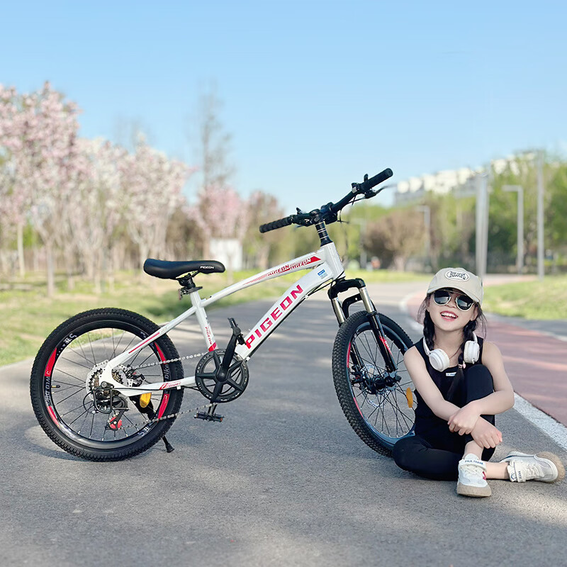 PIGEON Children's Bicycle, Student Mountain Bike, Youth Single-Speed Off-Road Bi...