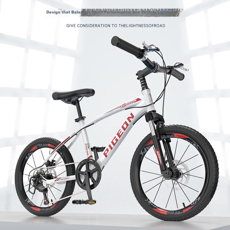 PIGEON Children's Bicycle, Student Mountain Bike, Youth Single-Speed Off-Road Bi...