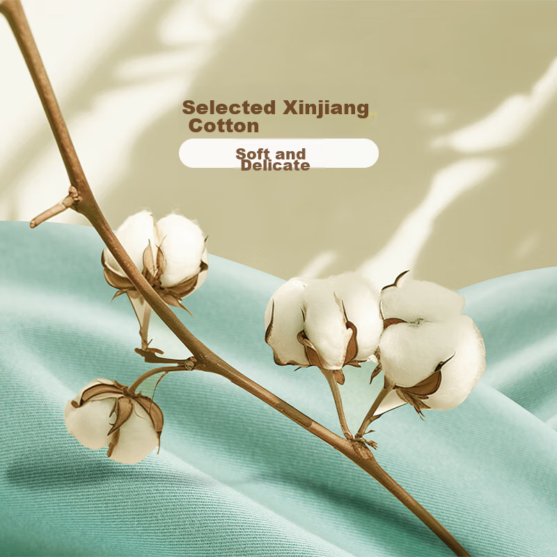 Fuanna Bedding Brushed Four-Piece Set, 100% Pure Cotton, Double-Sided Thickened...