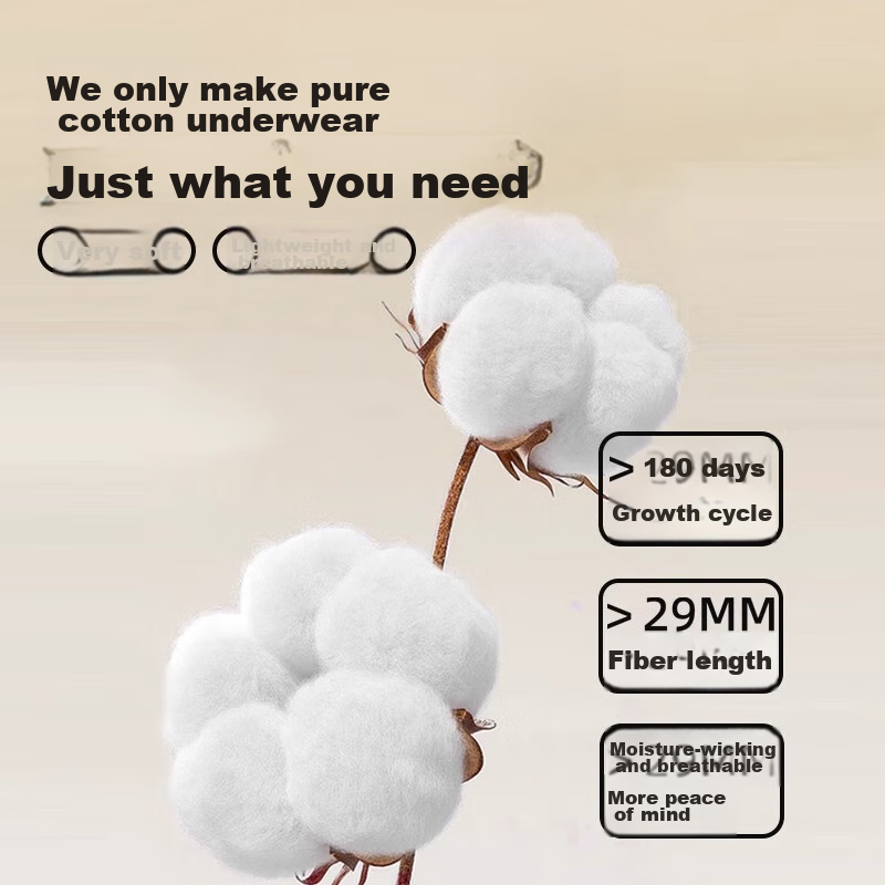 FENYE Postpartum Tummy Control Underwear, High-Waist Pure Cotton Antibacterial M...