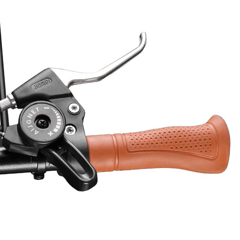 FLYING PIGEON 20-Inch Folding Single-Speed Adult Student Youth City Leisure Runn...