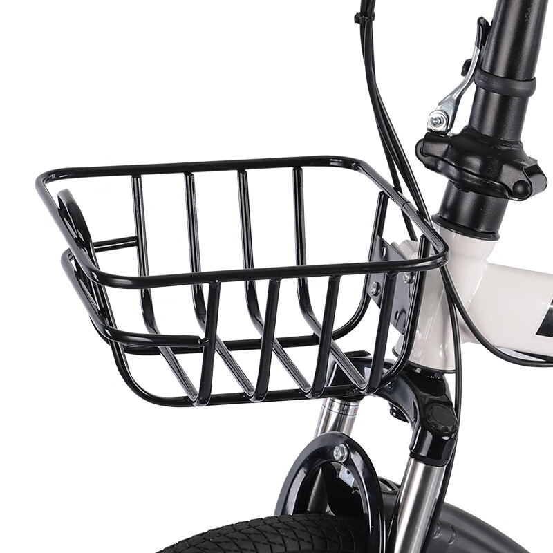 FLYING PIGEON 20-Inch Folding Single-Speed Adult Student Youth City Leisure Runn...