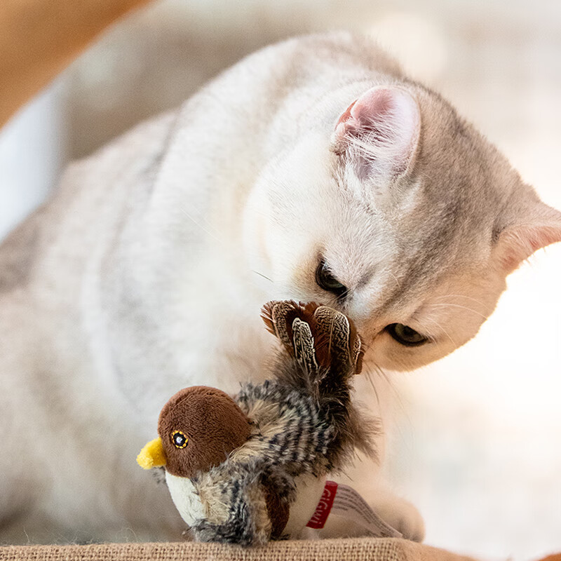 GiGwi Bird Sound Cat Toy, Self-Entertaining Boredom Relief Device, Teething And...