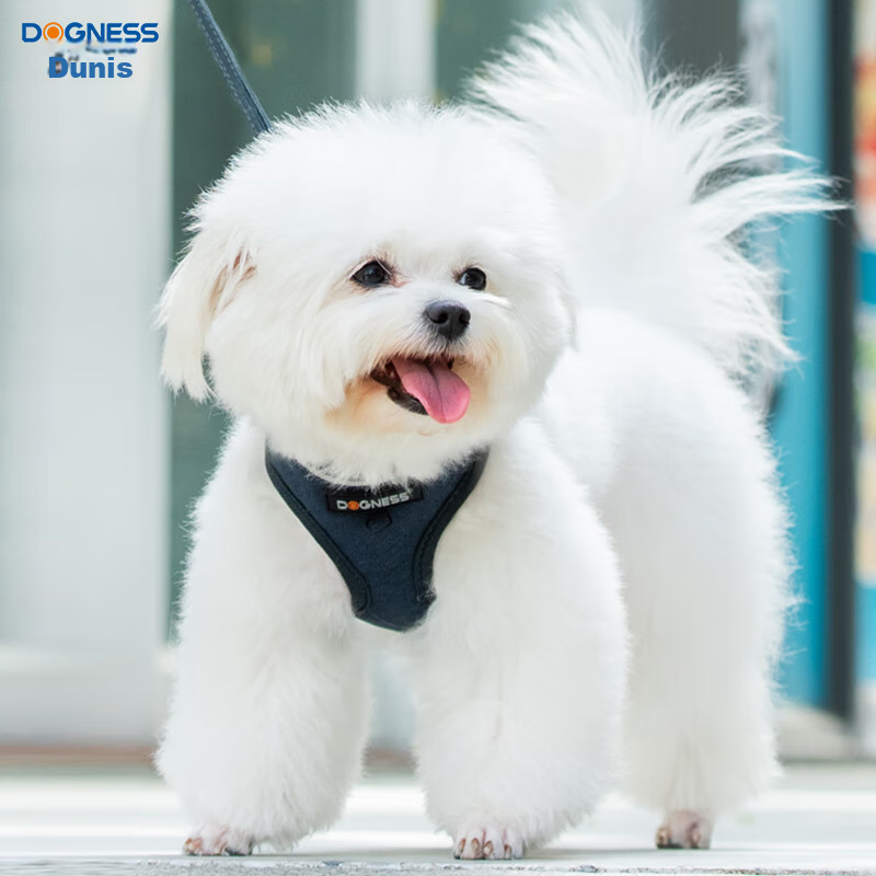 DOGNESS Dog Leash, Dog Harness Set, for Small And Medium Dogs, Suitable for Tedd...