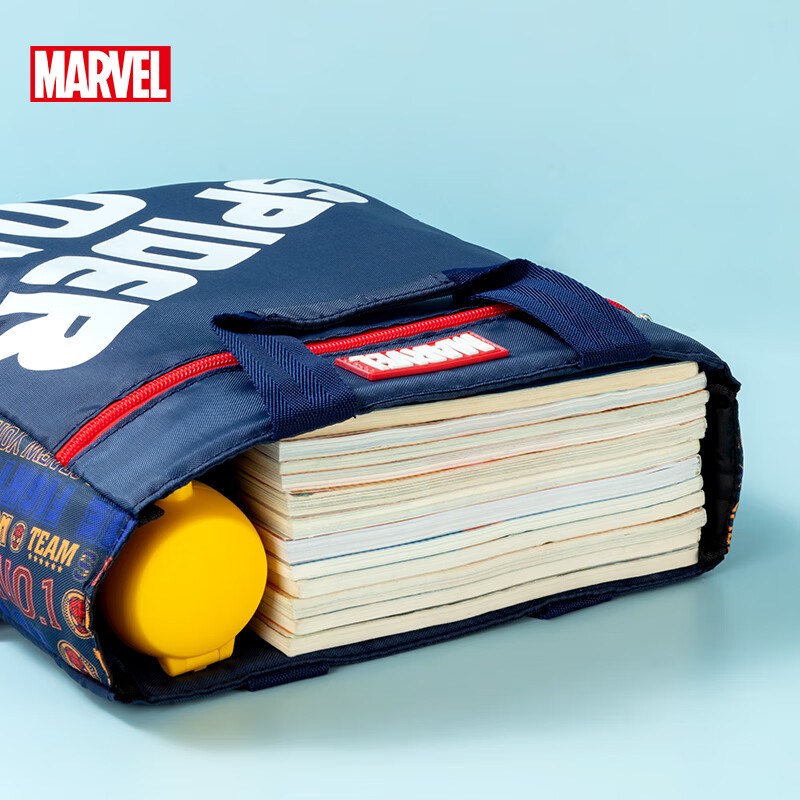 Disney Elementary School Tutoring Bag Handbag Oxford Cloth Waterproof Student Re...