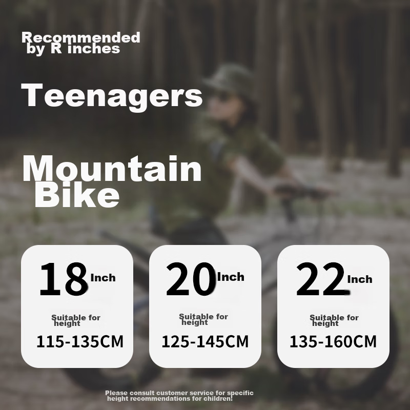 Phoenix Children's Mountain Bike for Ages 6-15, Youth Student Bicycle for Boys A...