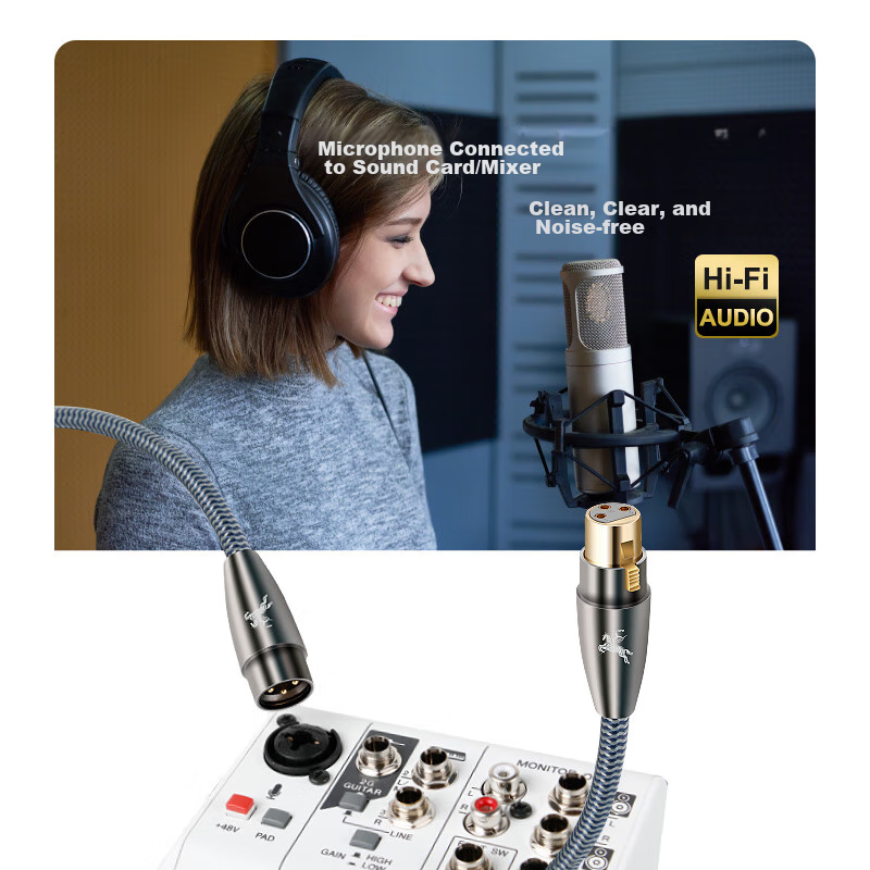 IMPETO Fever-Grade XLR Microphone Cable, Anti-Interference, Male to Female Audio...