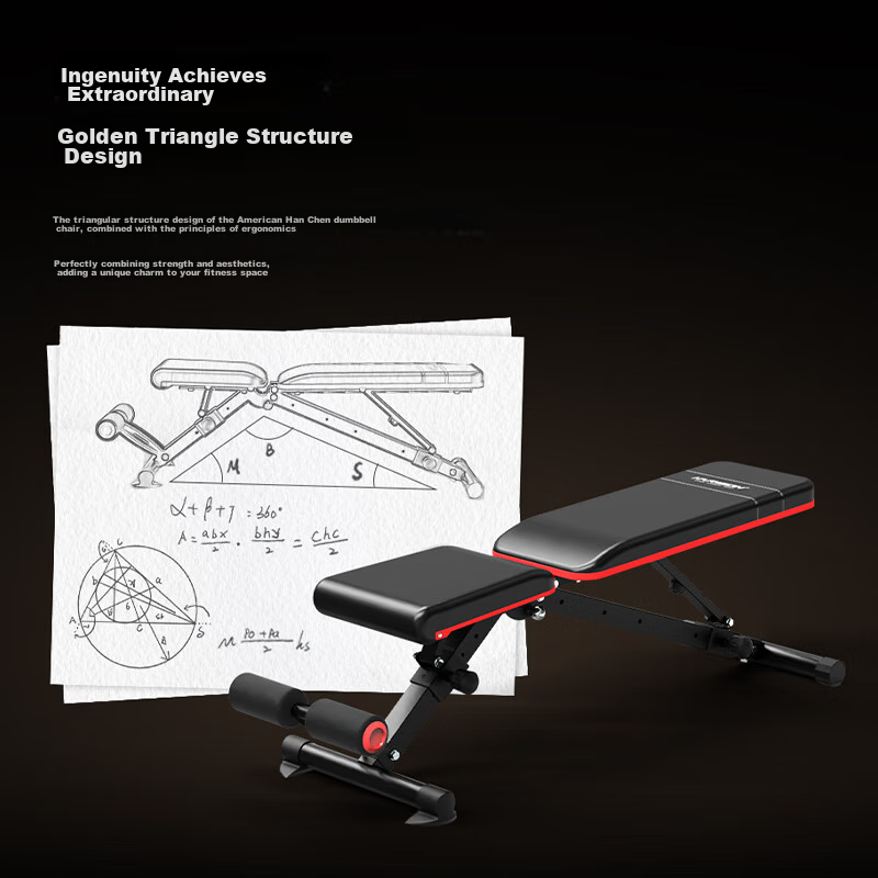 HARISON Multi-Functional Dumbbell Bench, Sit-Up Board, Abdominal Board, Training...