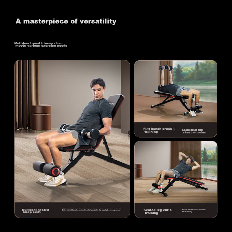 HARISON Multi-Functional Dumbbell Bench, Sit-Up Board, Abdominal Board, Training...