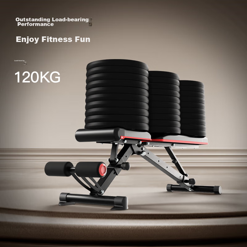 HARISON Multi-Functional Dumbbell Bench, Sit-Up Board, Abdominal Board, Training...