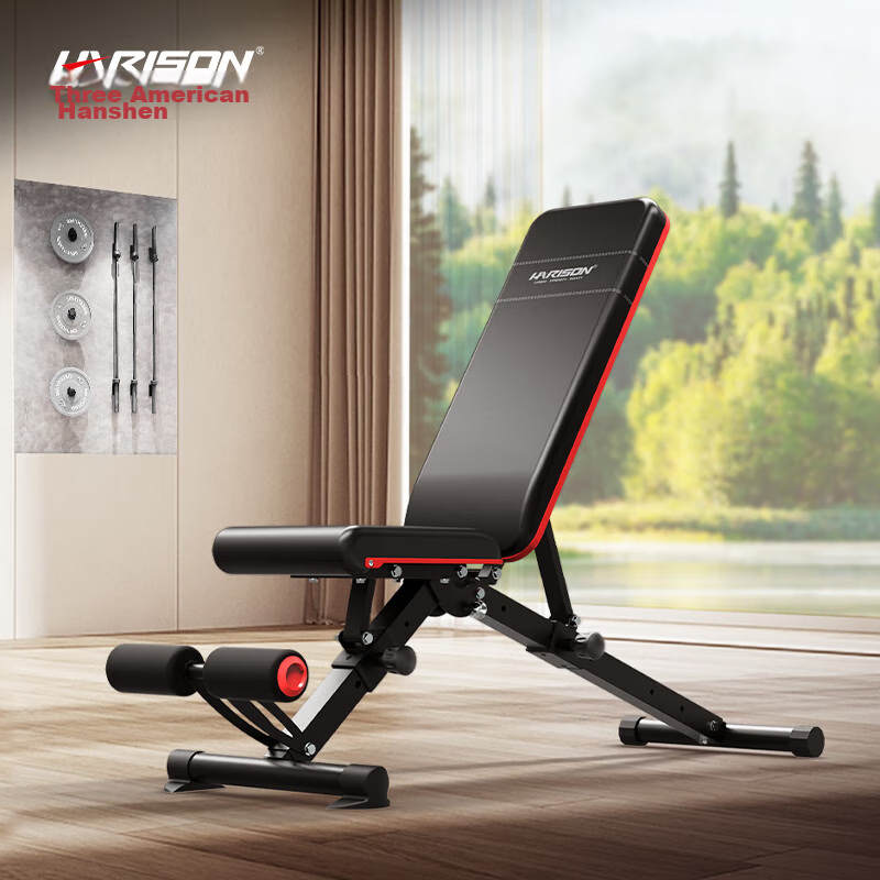 HARISON Multi-Functional Dumbbell Bench, Sit-Up Board, Abdominal Board, Training...