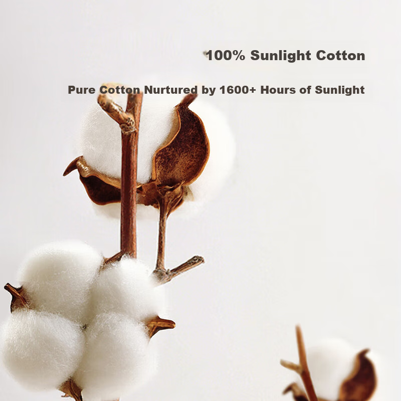 Fuanna Mattress, Pure Cotton High-Elastic Support Tatami Mat, Foldable Protectiv...