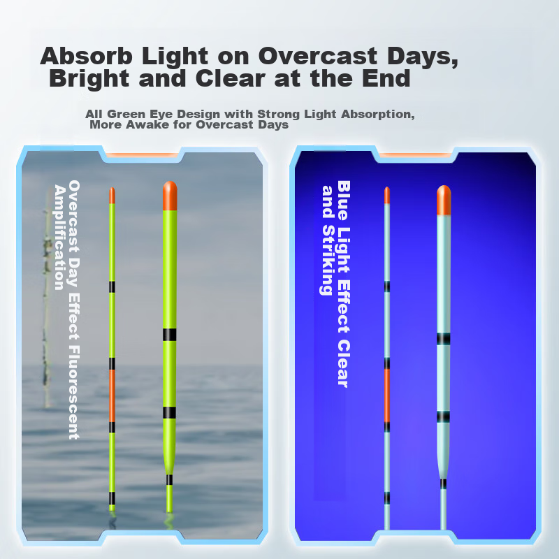 Chuanze Cloudy Day Float, Highly Sensitive, Light-Biting Crucian Carp Float, Wil...