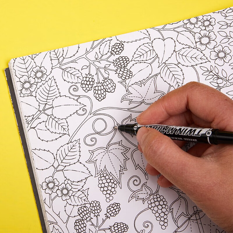 M&G Stationery, Black Dual-Tip Marker Pen, Waterproof Marker, Oil-Based Pen, Chi...