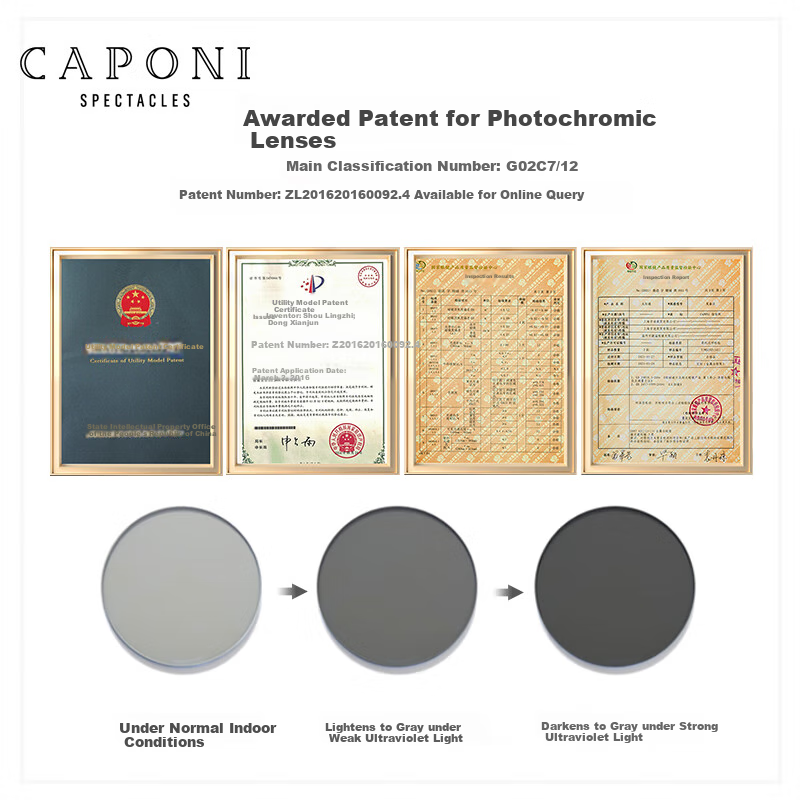 CAPONI Ultra-light Pure Titanium Sunglasses Men Photochromic Polarized Driving D...