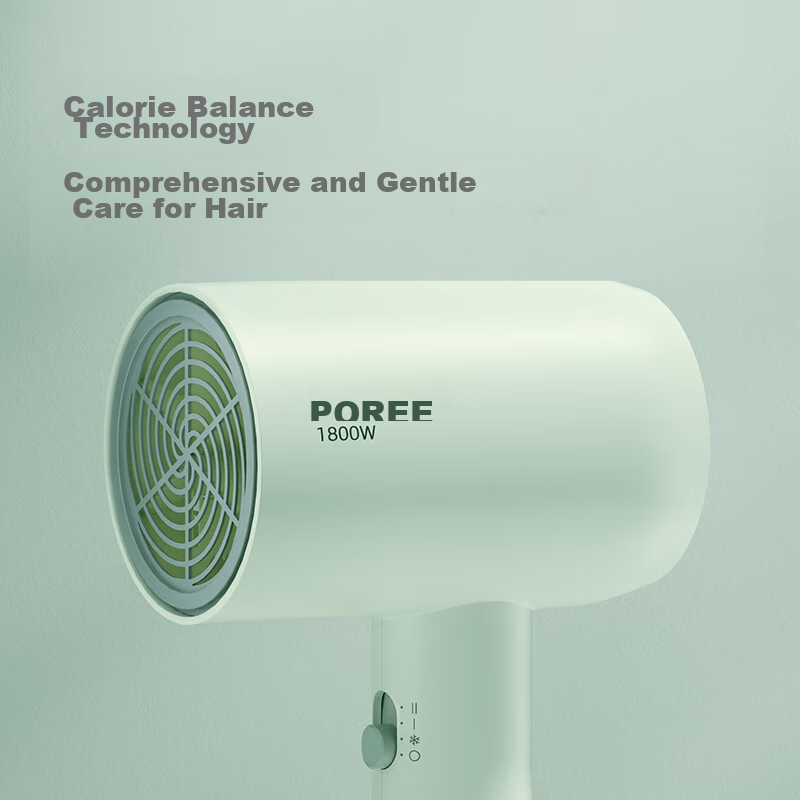 Feike Borui Hair Dryer, Portable for Home And Dorm Use, 1800W High Power, Hot An...