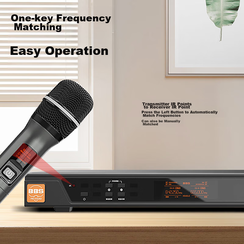 BBS G-28 [National Subsidy] Wireless Microphone System, UHF Dual-Channel Profess...