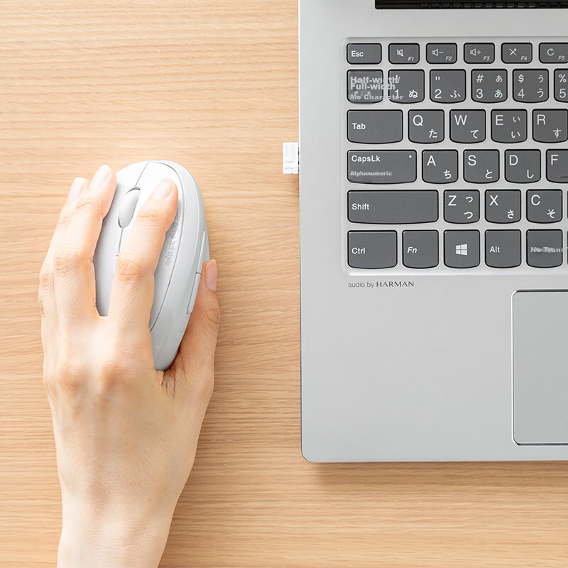 SANWA SUPPLY Ergonomic Wireless Mouse for Small to Medium Hands, Vertical Grip,...