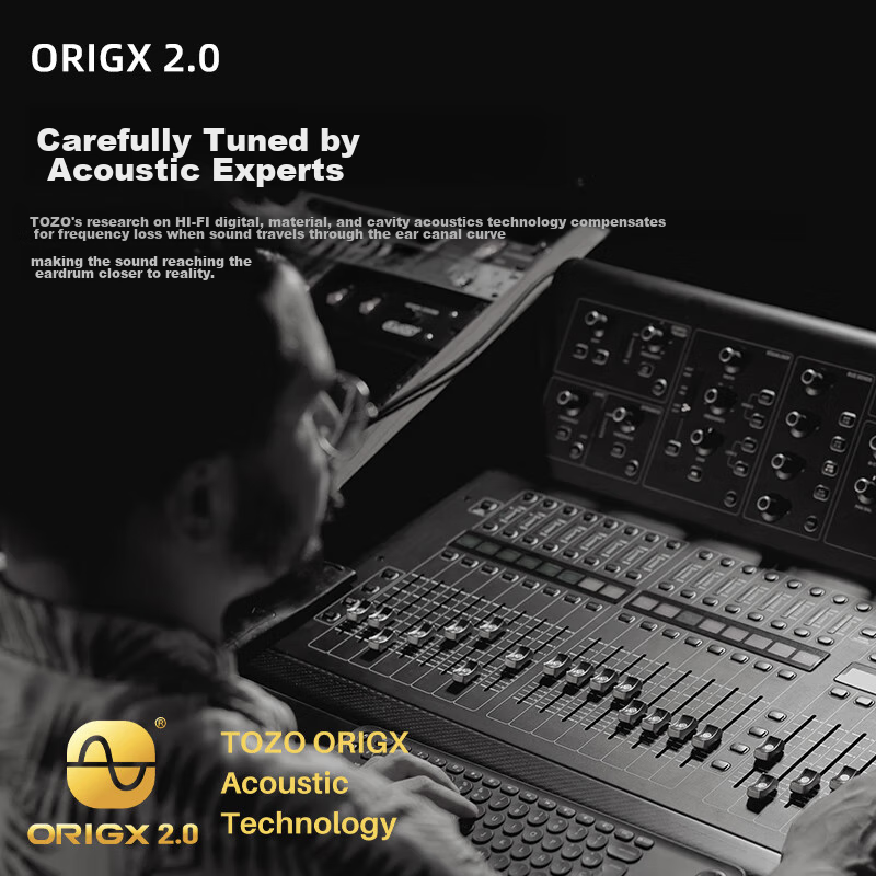 TOZO NC9 True Wireless Active Noise Cancelling Bluetooth Earbuds, In-Ear, 52-Hou...