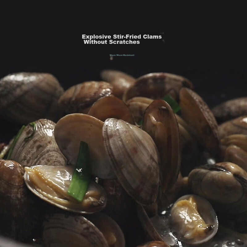 WOLL German Non-Stick Frying Pan, XR Series Flat Bottom Pan, 24cm Steak Pan, Hou...