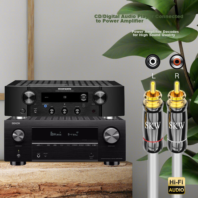 SKW Audiophile-Grade Two-To Dual RCA Audio Signal Cable, 2RCA AV Red And White A...