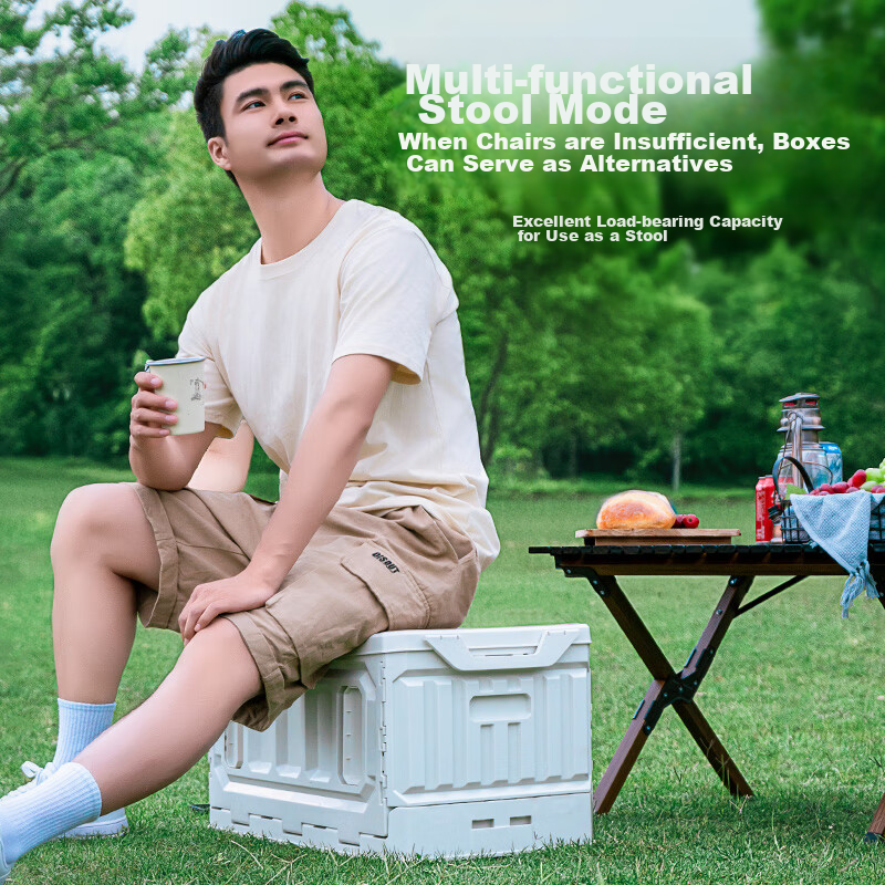 TANXIANZHE Outdoor Camping Storage Box, Foldable Camping Car Organizer, Car Trun...