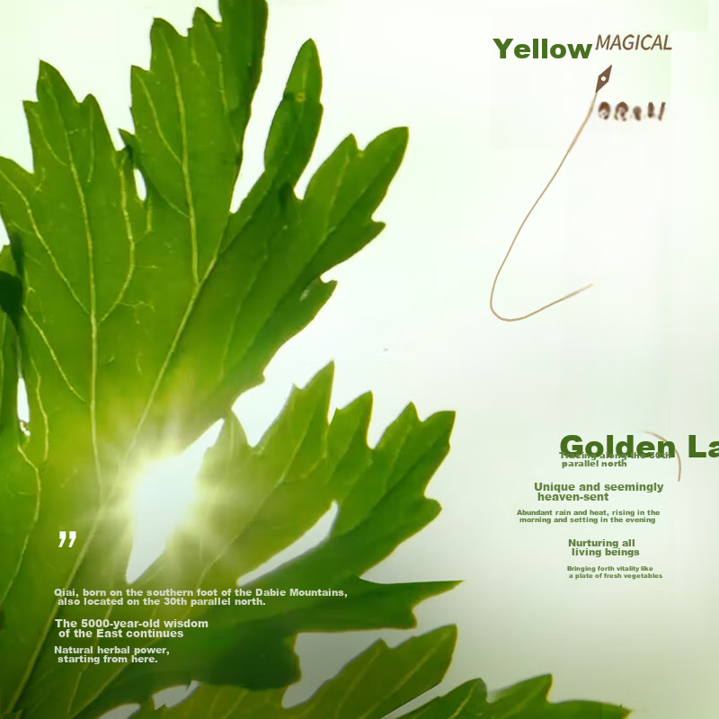 Breo A1 Moxibustion Device with Moxa Sticks And Filter (20 Moxa Sticks + 1 Filte...