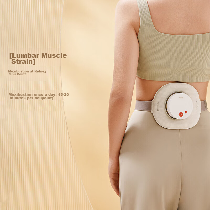 Breo Ginger And Bamboo A2 Standard Edition Moxibustion Box, Moon White, Portable...