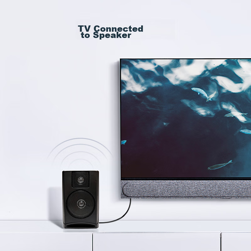 Biaze RCA RCA Coaxial Digital Audio Cable, 2 Meters, Subwoofer Audiophile-Grade...